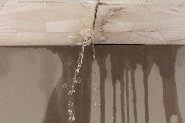Professional Burst Pipe Cleanup technician working in Orem, UT